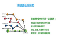 美迪西生物部副总裁汪俊博士：美迪西肿瘤免疫学平台已建立