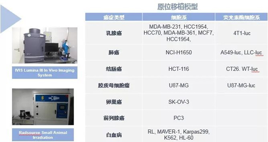 美迪西药效学动物模型