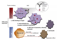 浅析：ADC药物的抗癌之路