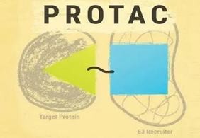 热点前沿:PROTAC初露锋芒，SD-36对抗肿瘤效果卓越