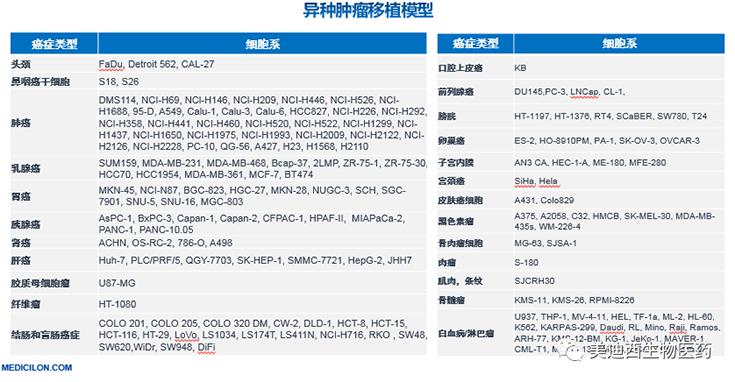 美迪西异种肿瘤移植模型清单