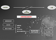 人工合成NT类脂质开放血脑屏障，为CNS药物打开新局面