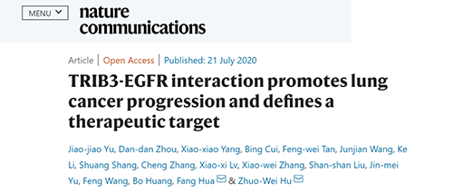 Nature|非小细胞肺癌治疗新方案：靶向降解EGFR