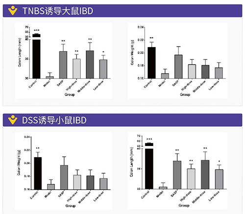 TNBS诱导的大鼠IBD、DSS诱导的大鼠IBD