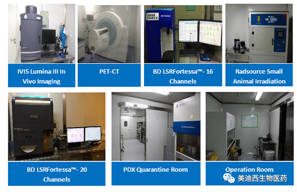 美迪西药理部拥有IVIS Lumina III, PET-CT, BD LSRFortessa-16，Flow Cytometry等仪器