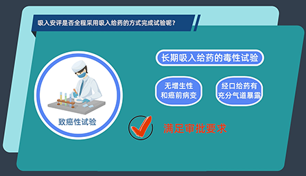 吸入安评是否全程采用吸入给药的方式完成试验呢？