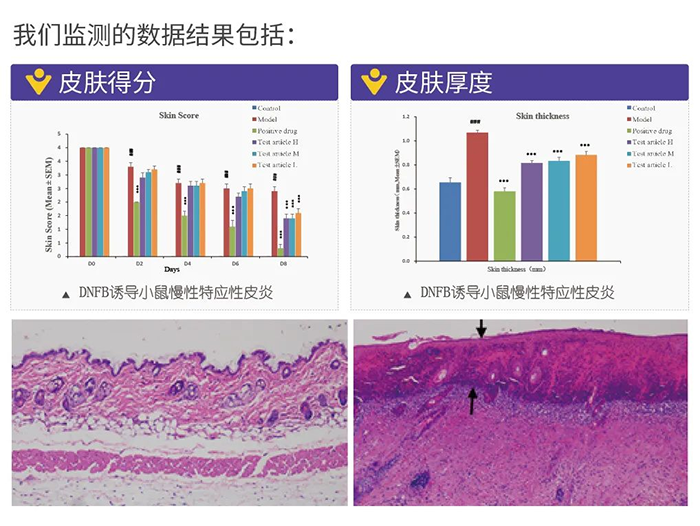 美迪西监测的数据结果.png