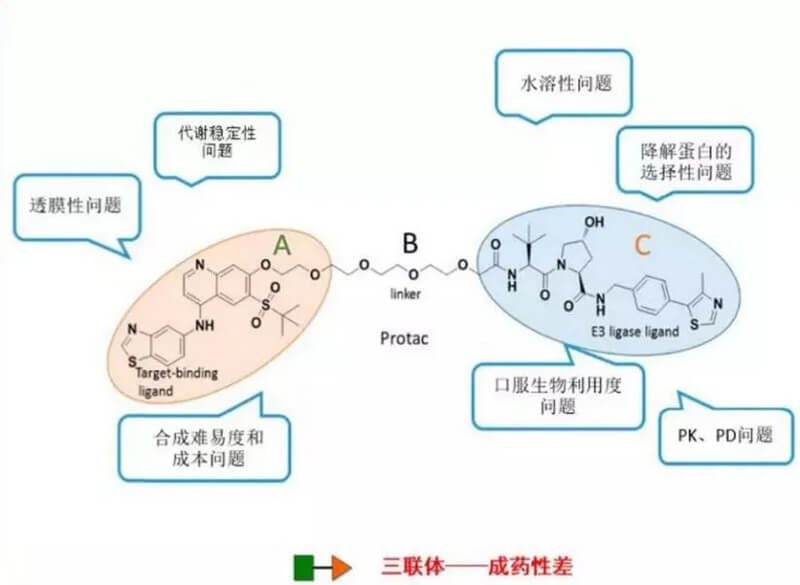 PROTAC分子量较大，溶解性较差.jpg