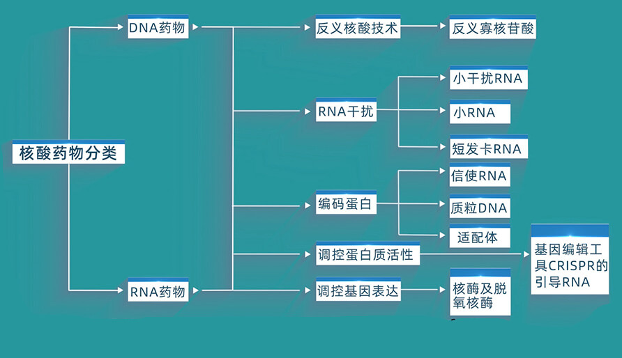 核酸药物的分类有哪些？