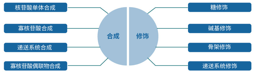 美迪西核酸药物研发服务平台.jpg