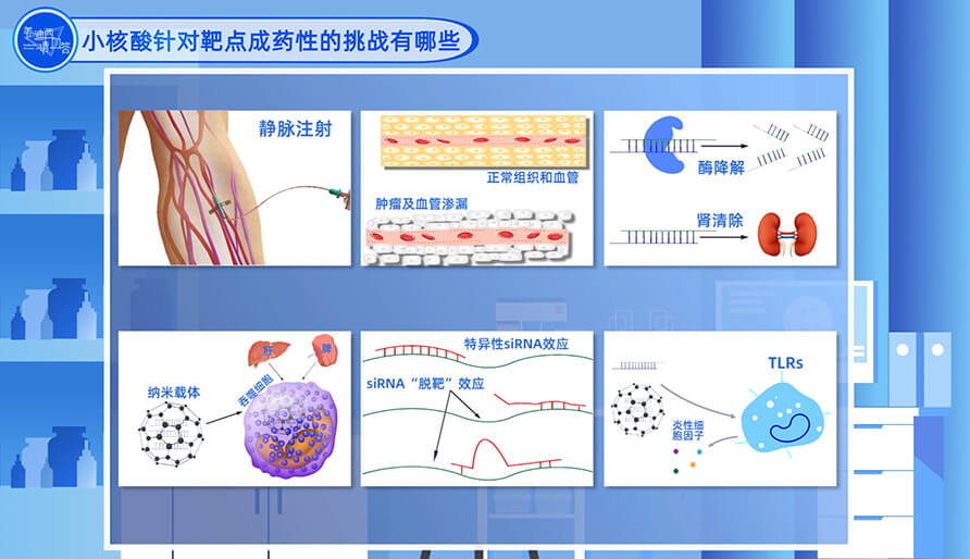 小核酸针对靶点成药性的挑战有哪些？