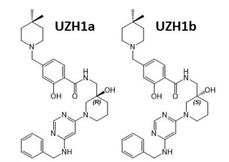 研究人员报告了一种具有细胞渗透性的选择性METTL3纳摩尔抑制剂UZH1a，作者感谢美迪西合成了UZH1a和UZH1b