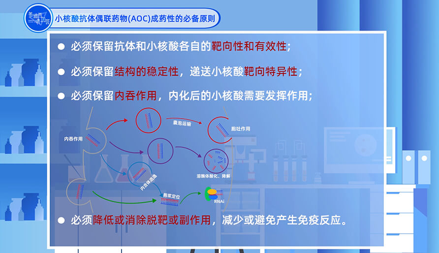 小核酸抗体偶联药物（AOC）成药性的必备原则？