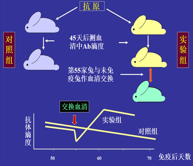 Figure-1：机体对抗体浓度变化的感知与反馈性自我调节.jpg