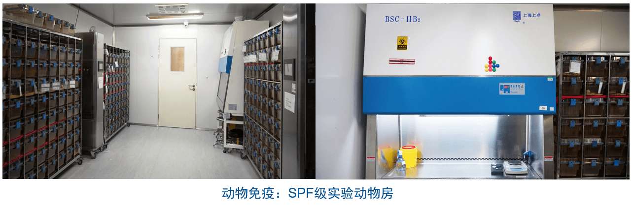 美迪西杂交瘤技术平台设备-动物免疫SPF级实验动物房