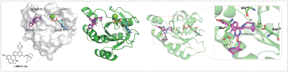 与GDP结合的KRASG12D与MRTX1133的共晶结构.png