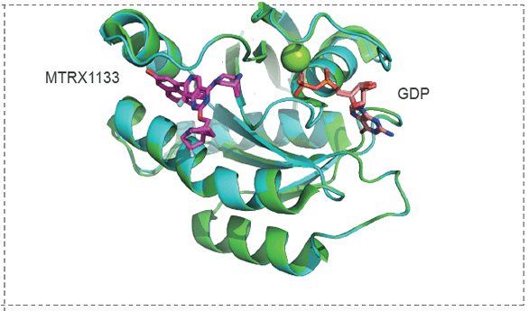 KRAS-G12D with MRTX1133.png