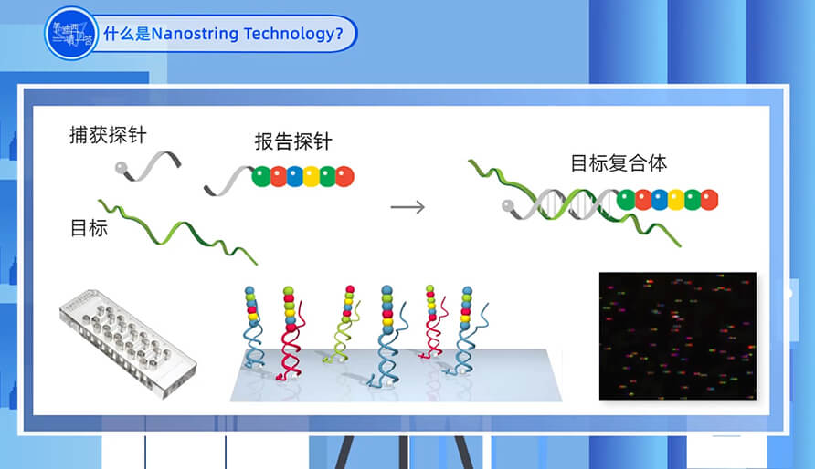 什么是Nanostring 技术？