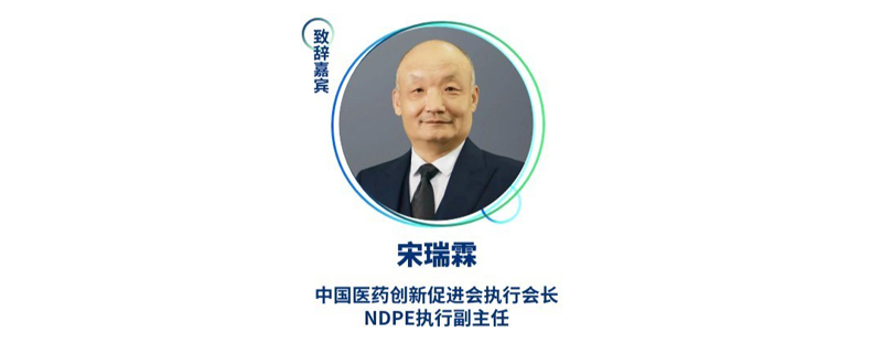 宋瑞霖--中国医药创新促进会执行会长、NDPE执行副主任.jpg